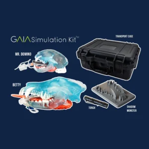 GAIA Simulation Kit™
